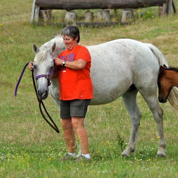 HARAS DE LA MOULINE