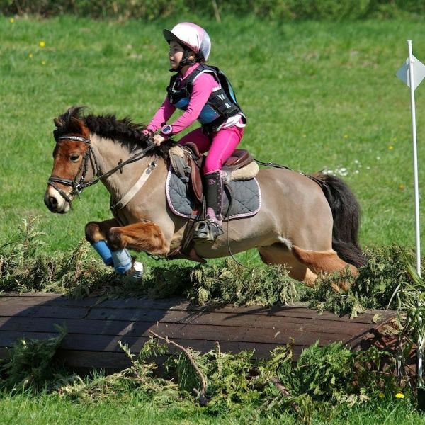 Poney club Tours