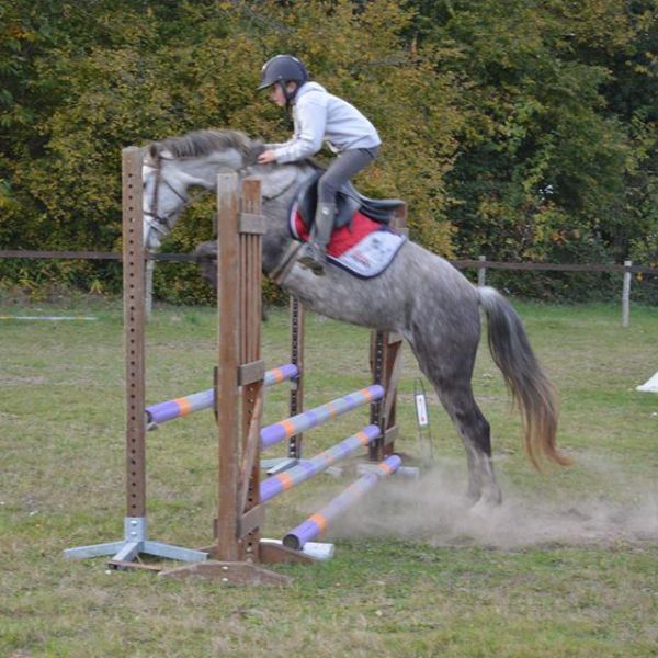 Stage d'équitation Tours