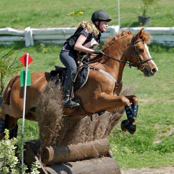Stage d'équitation Angers